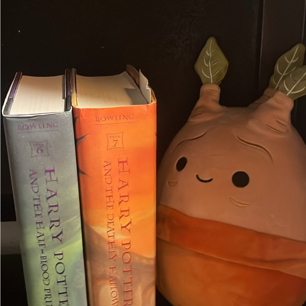 ❌SOLD❌First Edition Harry Potter Book 6 & 7 Bundle